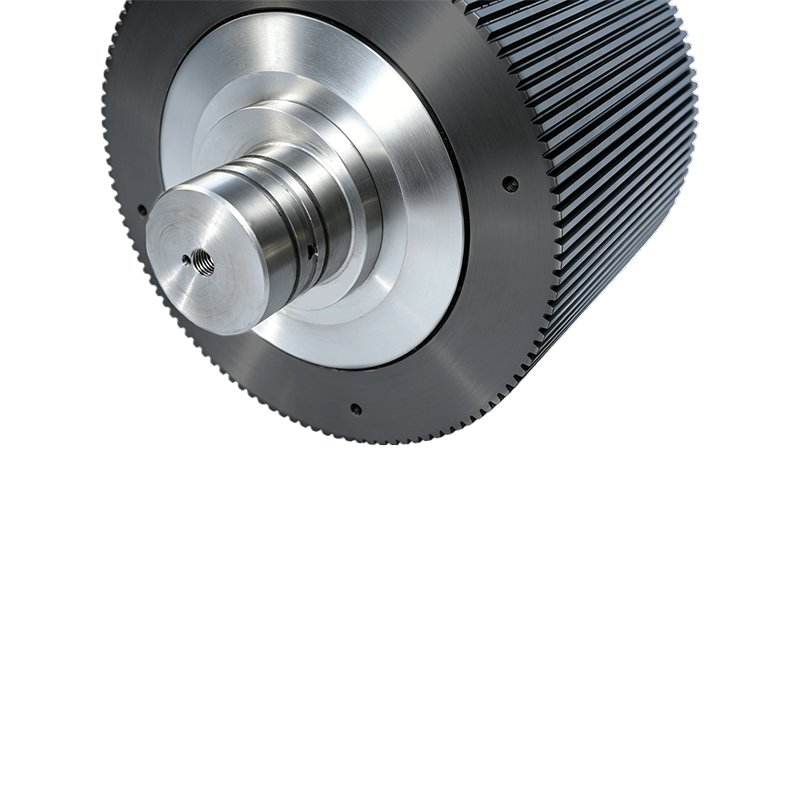 Ersatzteile für hochproduktive Pelletmühle, Ringmatrize, Walzengehäusebaugruppe